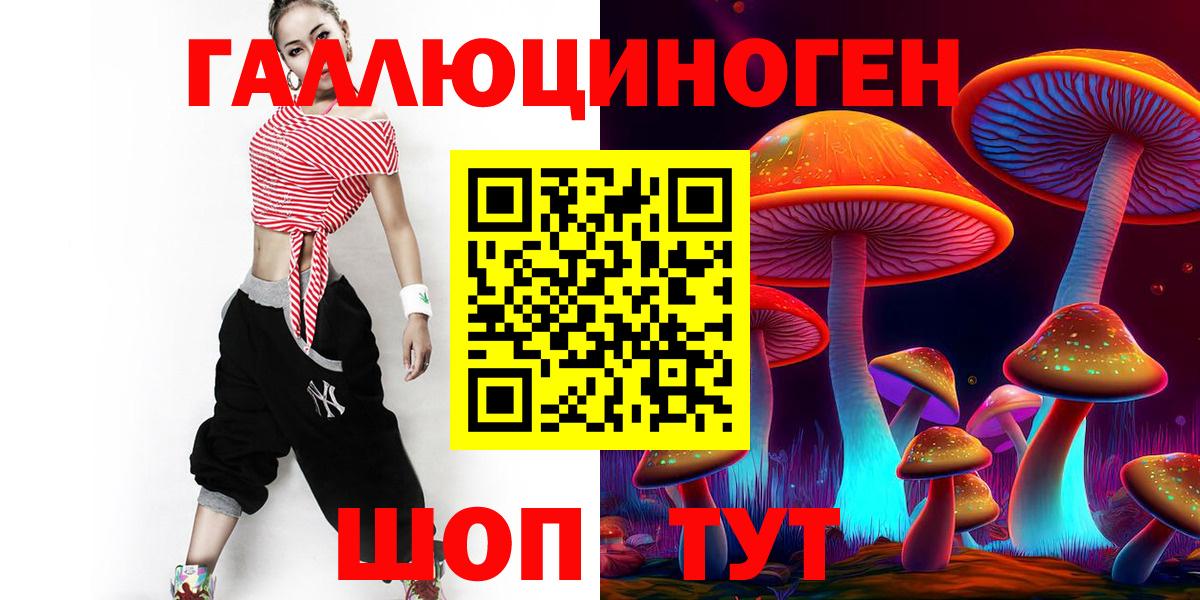 Канск  Галлюциногенные грибы прущие грибы  Вход с VPN 